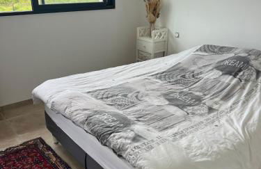 Maison entre océan et forêt landaise - Foto 15