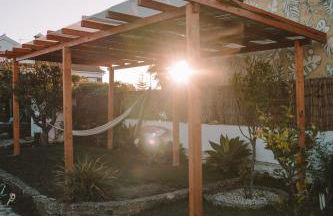 João Jungle - Foto 52