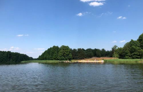 Las Biala's - Domki z sauną i jacuzzi w Puszczy Noteckiej - Tylko dla dorosłych - Foto 51