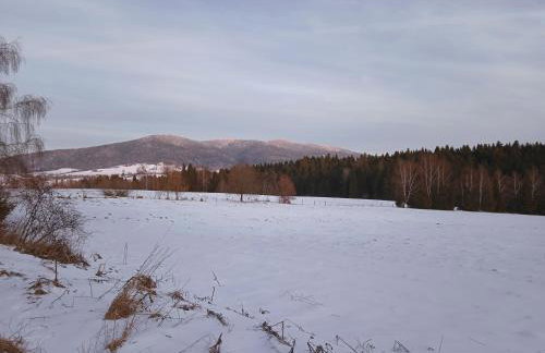 Bieszczadzka Zasadzka - Foto 26