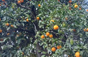 Da Ange e Bru - Foto 17