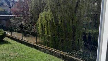 L'Éden de Lisieux - Photo 3