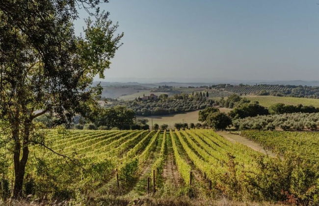 Villa Colombini Comfortable Holiday Residence - Foto 35