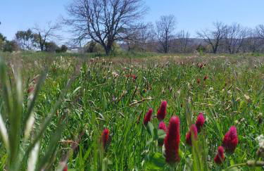 Starbase18 lda Ecotourism - Foto 51