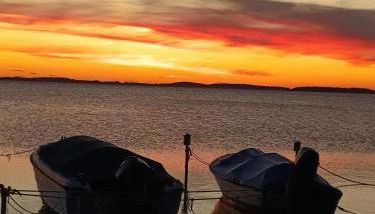 Ferienwohnung BoddenBee - Foto 5