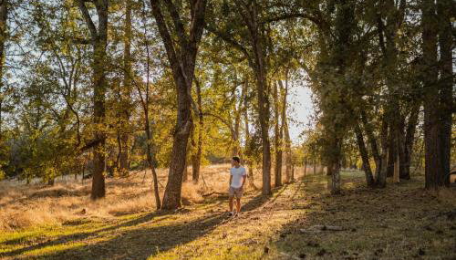 Romantic Forest Lovers Nest by Casa Oso - Foto 4