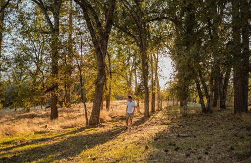 Romantic Forest Lovers Nest by Casa Oso - Foto 4