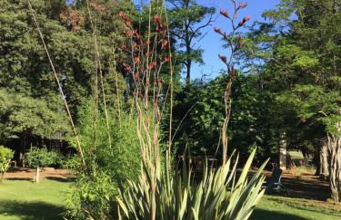 Domaine de Parazols - Foto 8