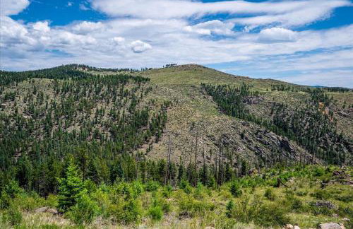 Hot Tub and Scenic Views at The Bailey Lodge - Foto 57