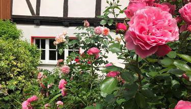 Gesindehaus Börnecke - Foto 2