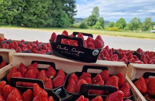 Wood log chalet - Foto 63