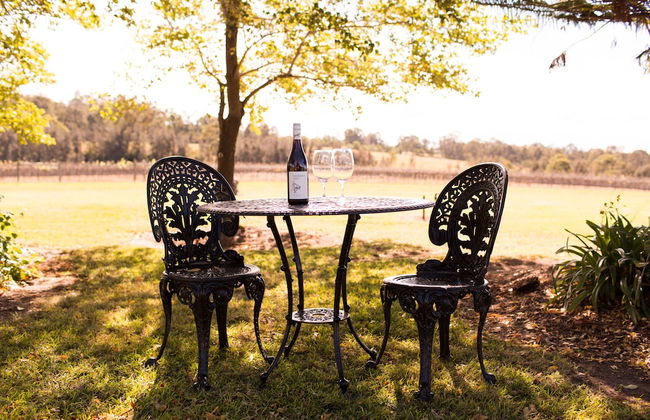 Cockfighters Ghost Vineyard - Foto 8