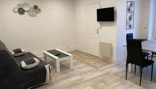 Appart meublé 45m2 calme et lumineux au Continental - Foto 5