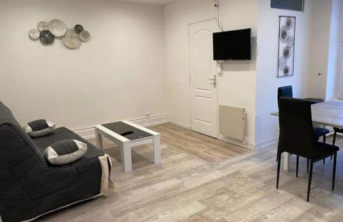 Appart meublé 45m2 calme et lumineux au Continental - Foto 5