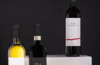 Agriturismo Tenuta Di Mensanello - Foto 28