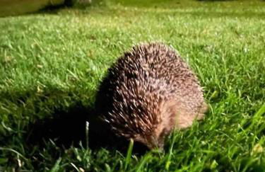 Sunset View one bedroom luxury cottage in an idyllic setting - Foto 48