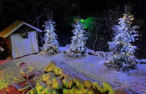 Placid Moose Loj N - Foto 17