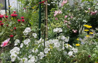 Ferienhaus Gumann - Foto 48