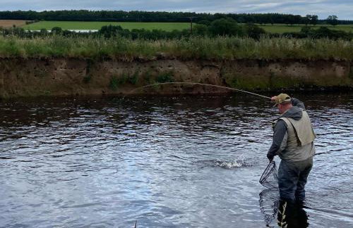 Stable Cottage - Foto 17