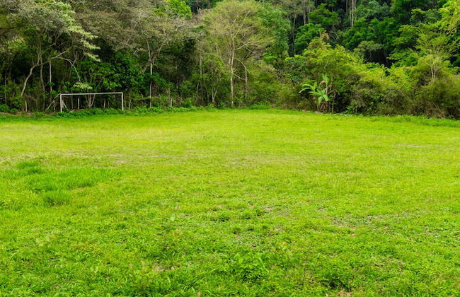 Casa de campo Los Yungas - Photo 22