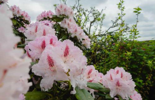 Ferienhaus Andrea - Foto 13