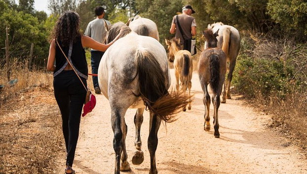 Santuario de Caballos: Un paseo por la naturaleza con Caballos Rescatados a tu lado - Foto 2, Estado del ser - Paseo a caballo mágico