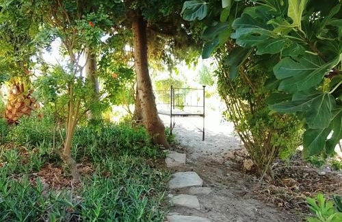 Ninho Da Poupa - Foto 47