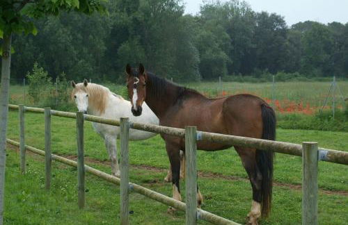 Luxuriously restored farmhouse near Girona in the heart of Catalunya - Foto 32