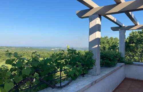 Villa Oliva Istria - Foto 35