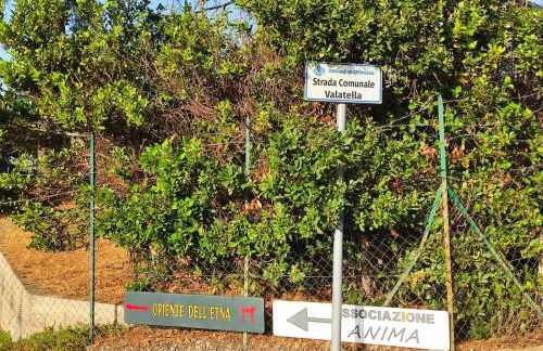 Oriente Dell'Etna - Foto 22