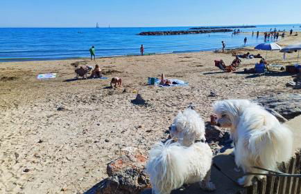 Front de plage - Foto 14