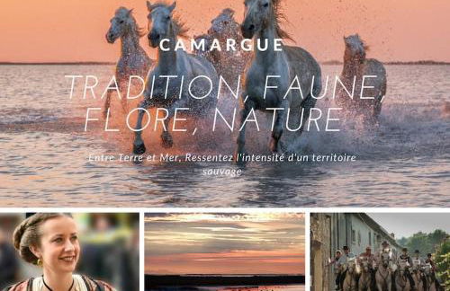 Le Murmure du Palmier * Mer à 2 min * Parking Privé * Terrasse - Foto 40