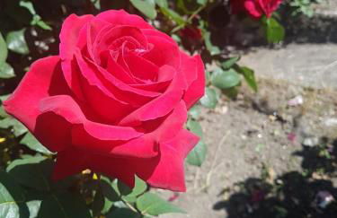 Casa do Porto - Foto 79