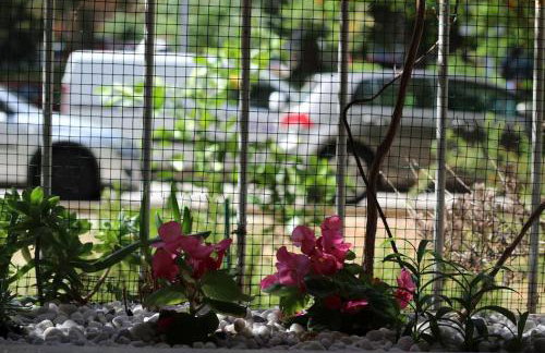 Cozy apartment Mimi in the center of Split - Foto 14