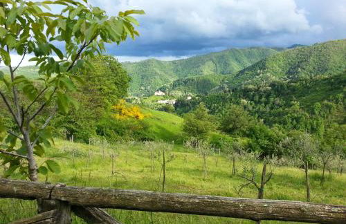 Agriturismo Selvapiana - Foto 36