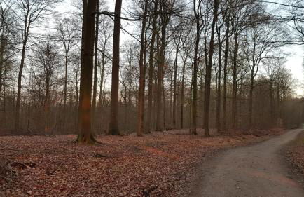 MOIN, MOIN & AHOI! - Foto 47