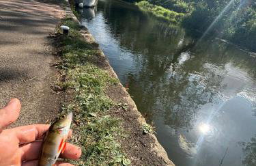 4 berth Boat house retreat in birstall, Leicester - Foto 20