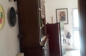 La gazza allegra - Foto 19