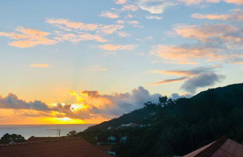 Quinta Pereirinha - A Private 3 Bedroom Home, Close to Hiking Traile w Ocean Views - Pico Island, Azores - Photo 14