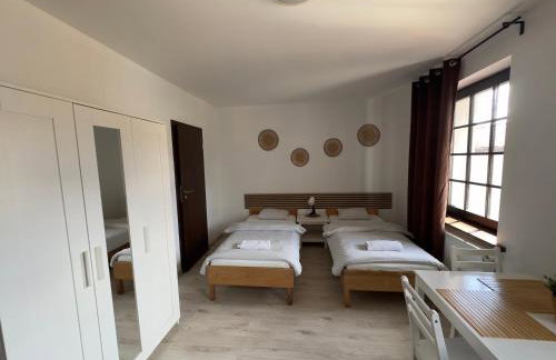 Willa BROWAR - Komfortowe Pokoje w Centrum - Foto 23