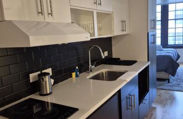 Pratt St Brand New Studio Loft Elevator Building - Foto 7