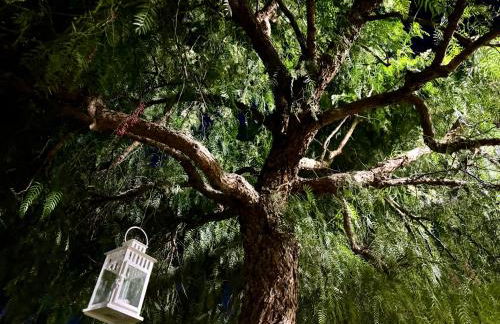 Villa Valentino Pompeji - Foto 43