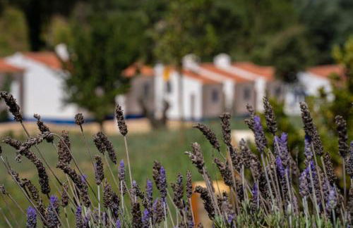 Vale da Cassiopeia - Foto 57