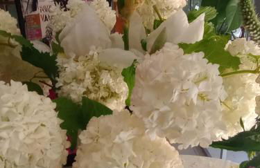 Entre Vignes & Piano "Symphonie" studio 4 personnes - Foto 36