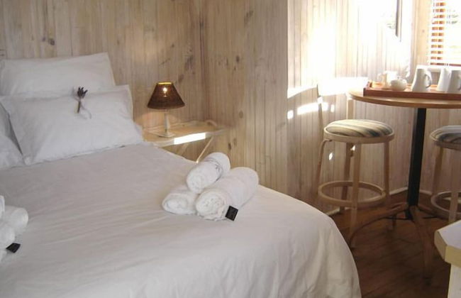 Beautiful Abalone - Photo 2