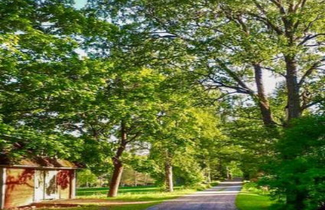 Virtaan väentupa - Photo 8