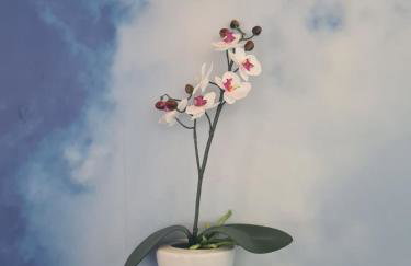 Ferienwohnung Pflüger mit Terrasse - Foto 9