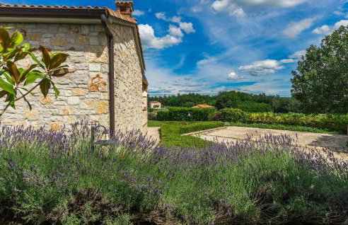 Villa Jelena - Foto 17