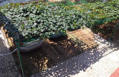 Levak Apartments - Apt. 1 - Photo 37