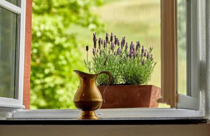 NEU!!! Moselbleibe Uferallee - Foto 19